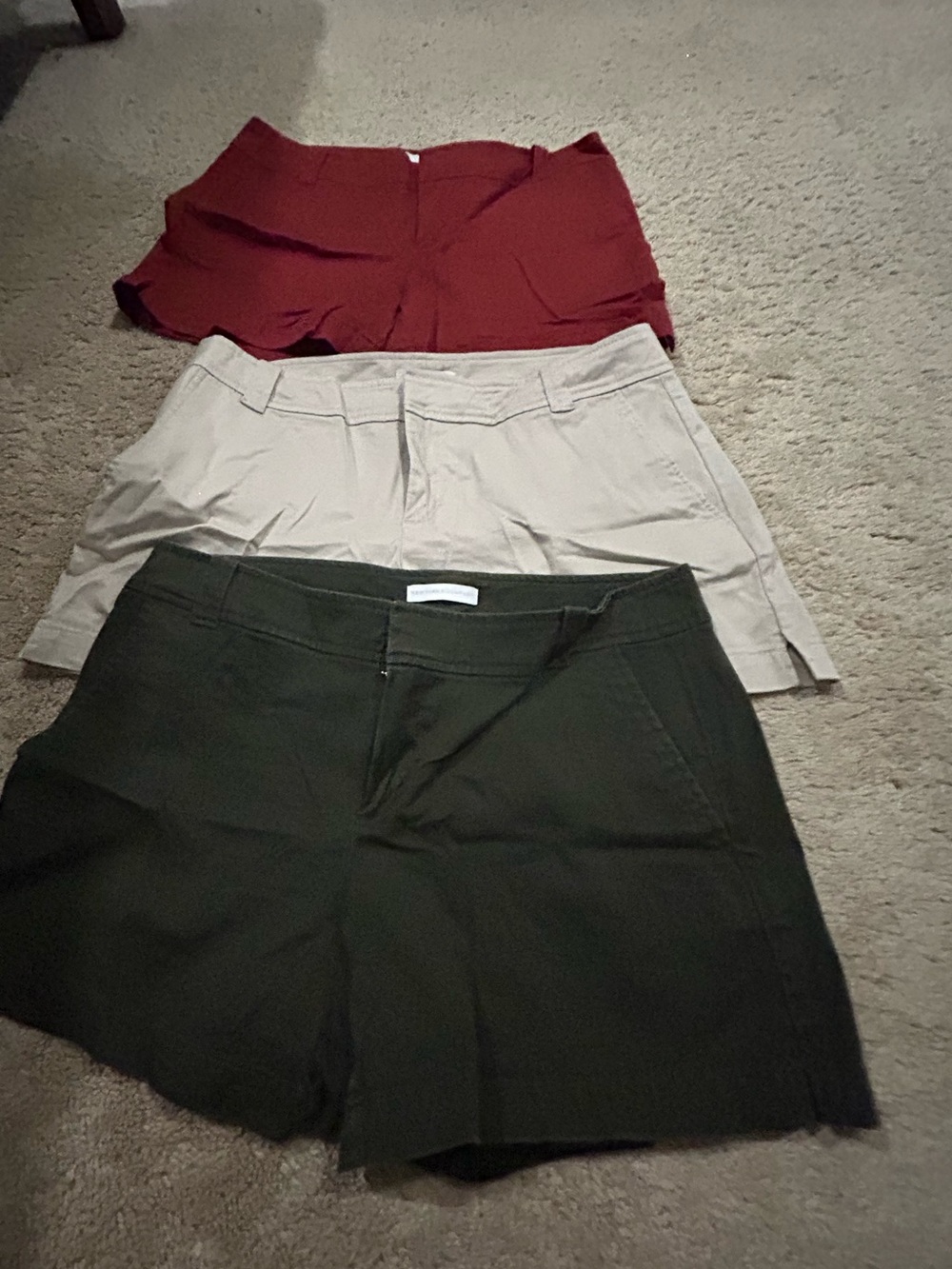 New York & Company Women's Shorts Set - Burgundy, Beige, Olive